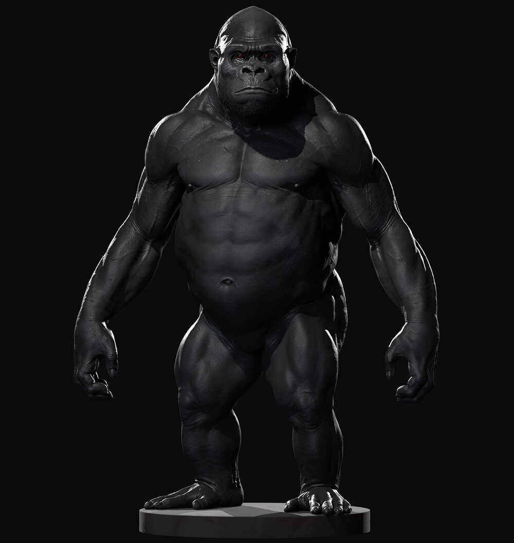Ape Anatomy Practise 01