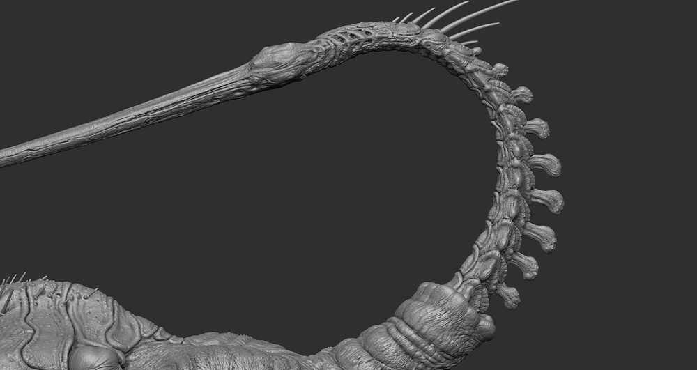 ZBrush Document17