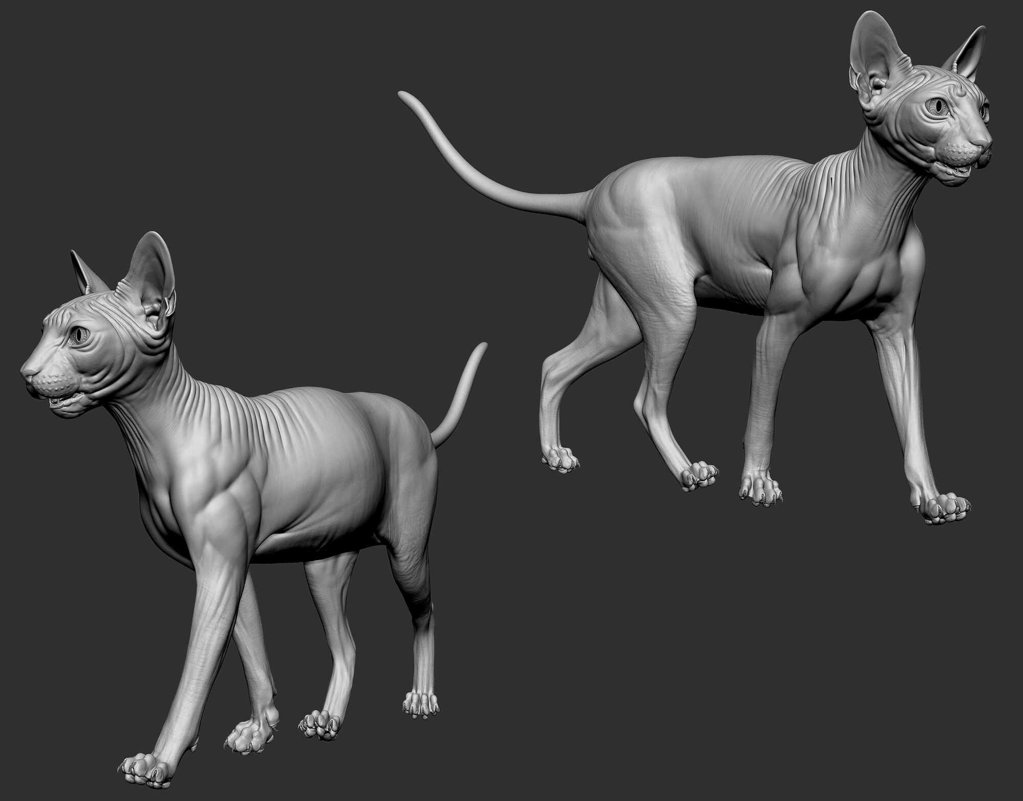 sphinx-cat-zbrushcentral
