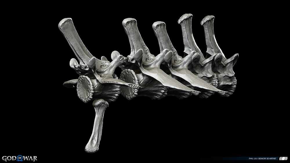 Bone8_spine2 copy 2