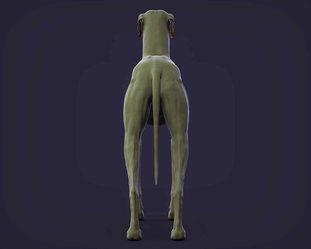 render_09