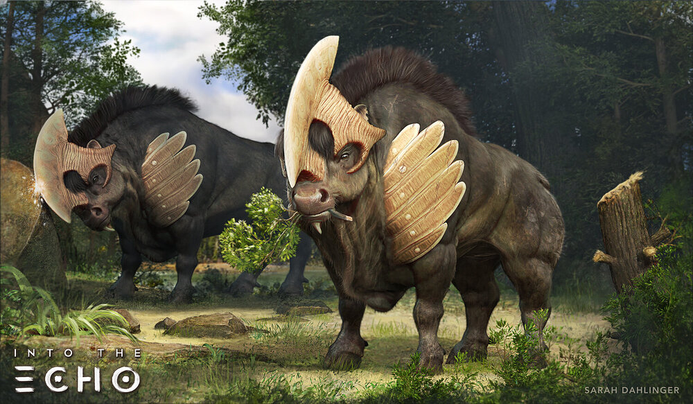 Shelding_SarahDahlinger