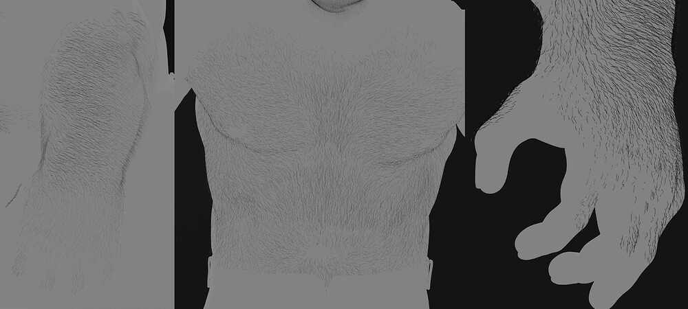 PELO_Cuerpo