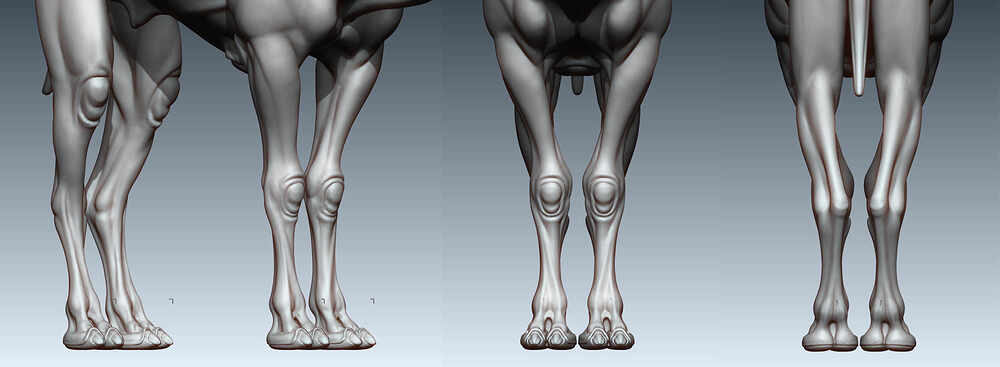legs_hp_0305