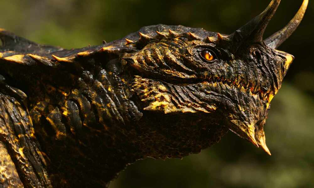 Render08