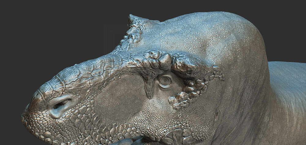 ZBrush Document6