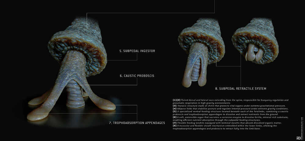 Terragaster_7b