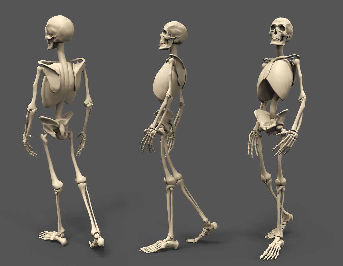 Skeleton_Turn_02