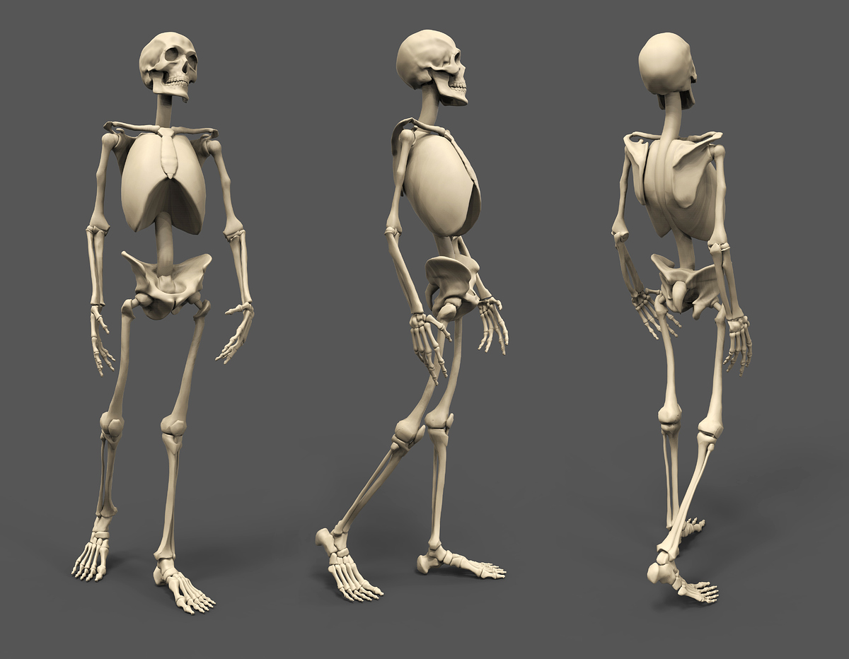 Skeleton_Turn_01