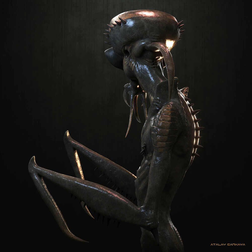 Hunter Insect 6