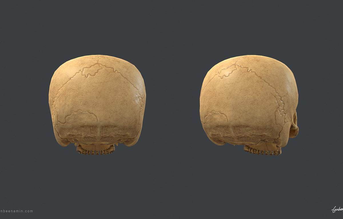 tanbeen-skull-anatomy-study-7-ee63b021-6fv5.jpg