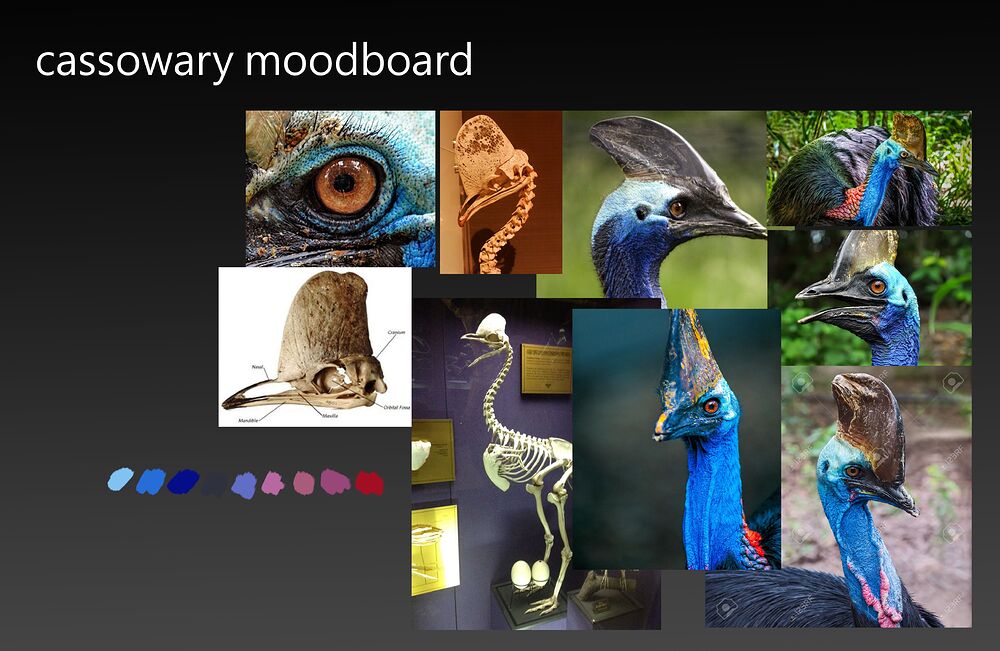 cassowary moodboard