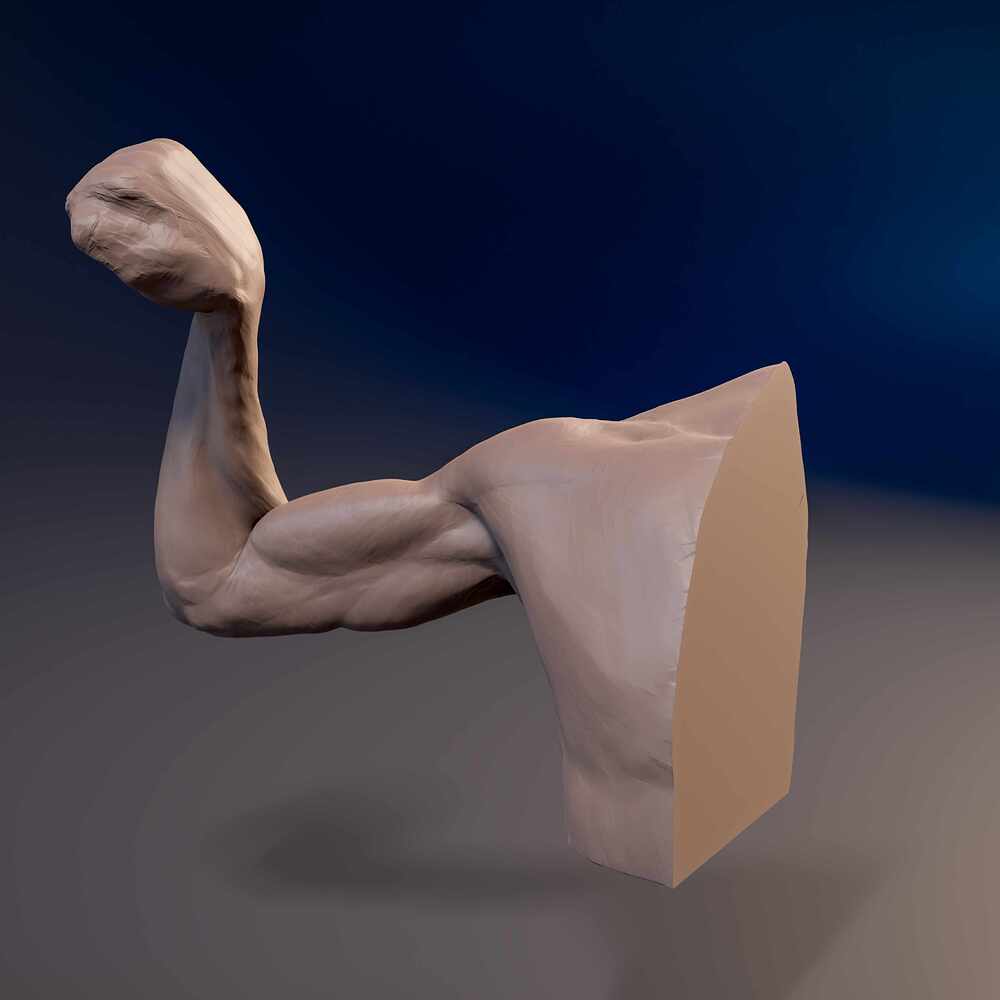 Arm_Pron_03