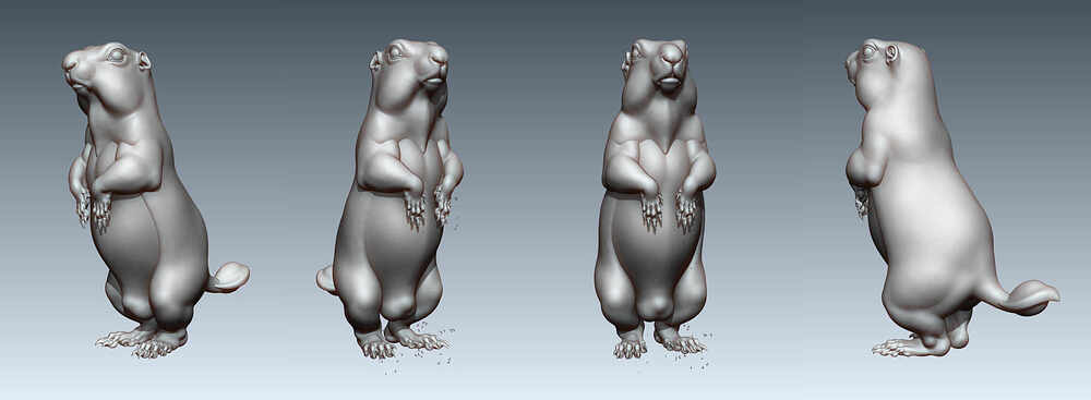 figure_persp_hp_1905