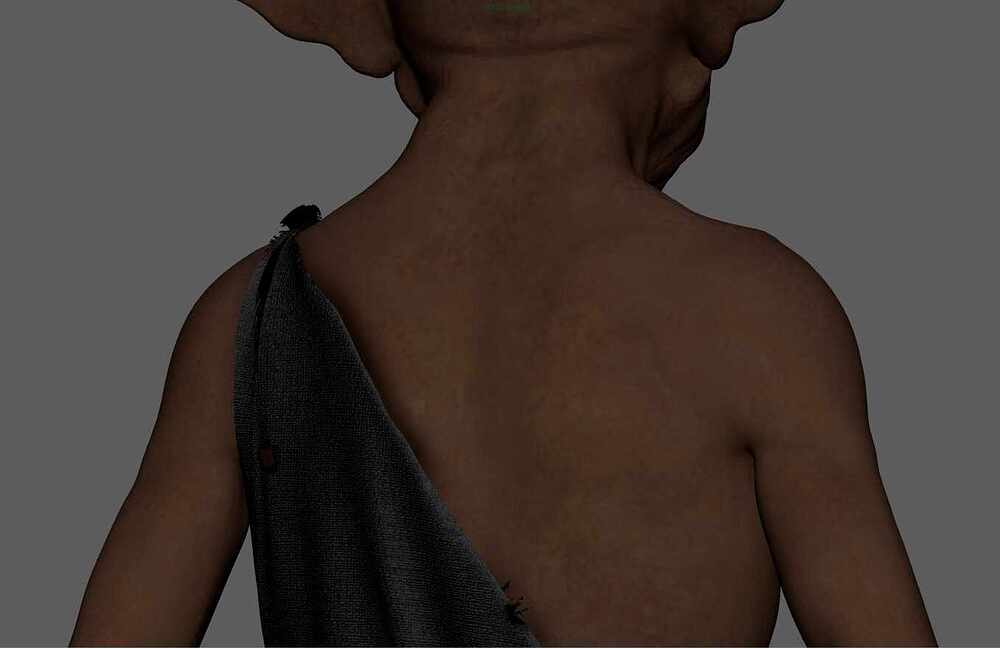 screenshotViewport3