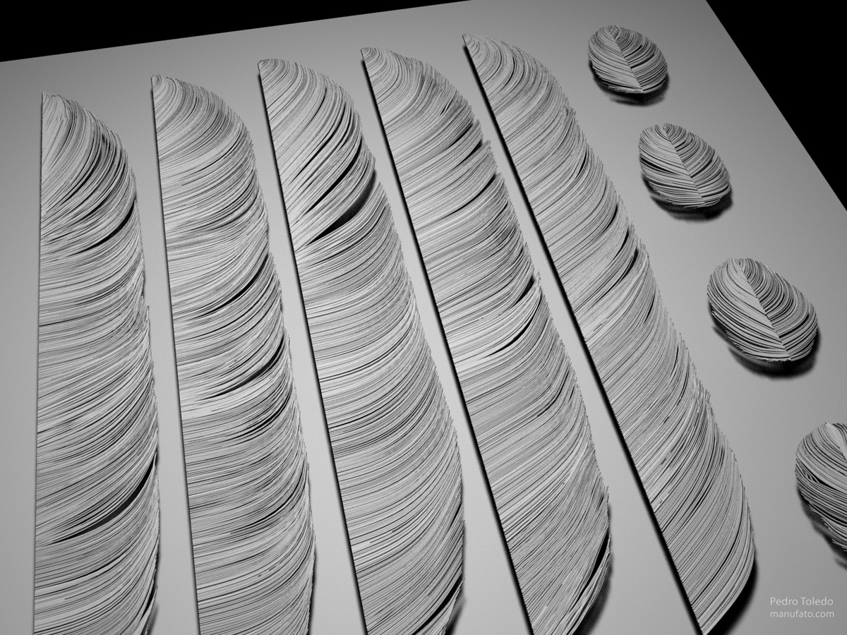 feathers
