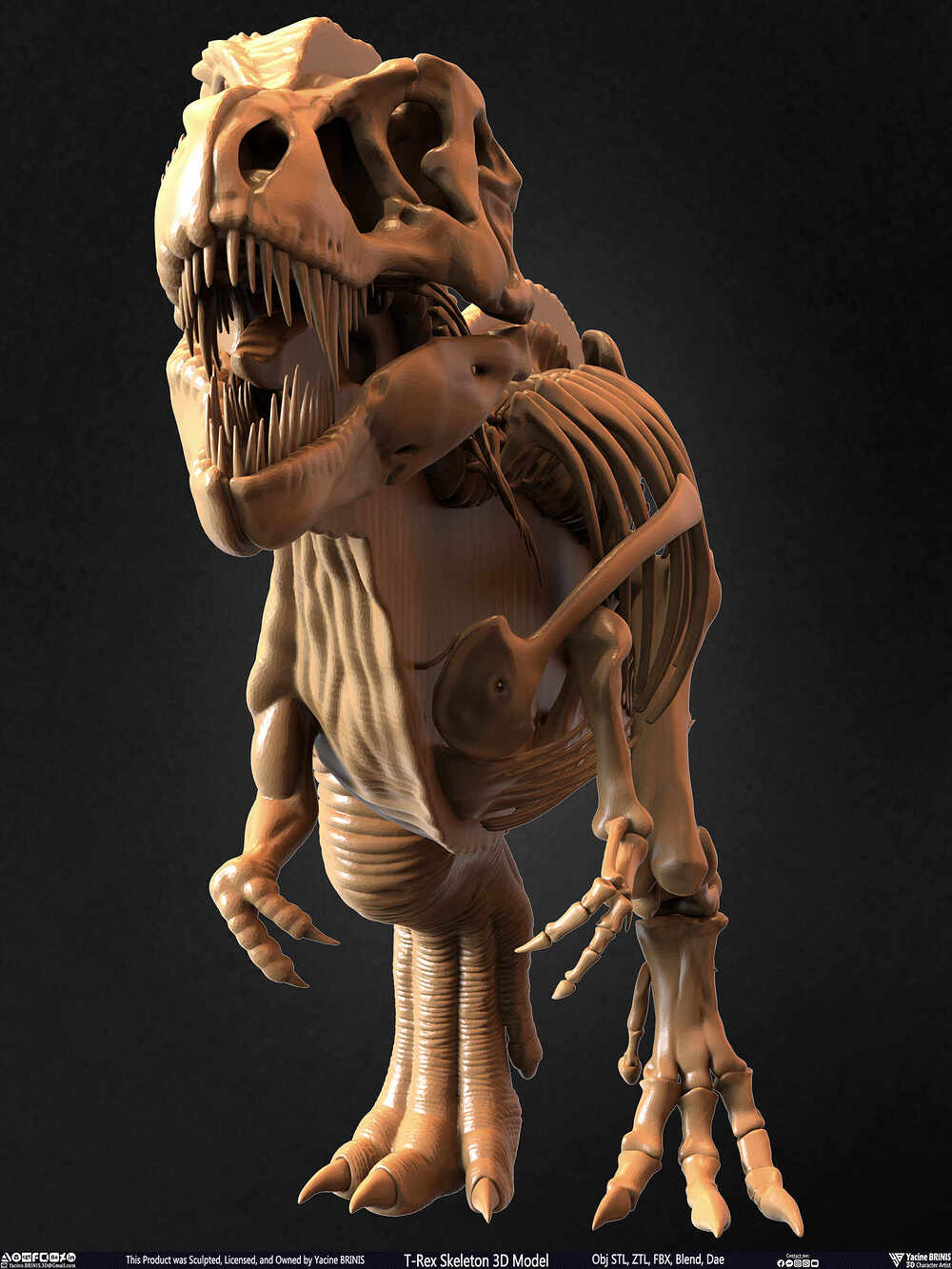 T-Rex Skeleton 3D Model (Tyrannosaurus Rex) Sculpted By Yacine BRINIS Set 044