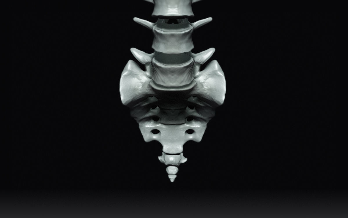 Sacrum4