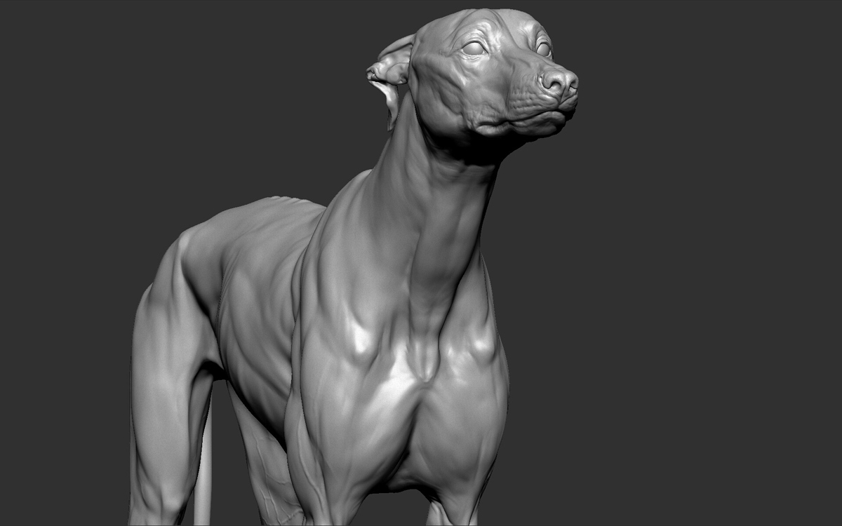 a_-models-4