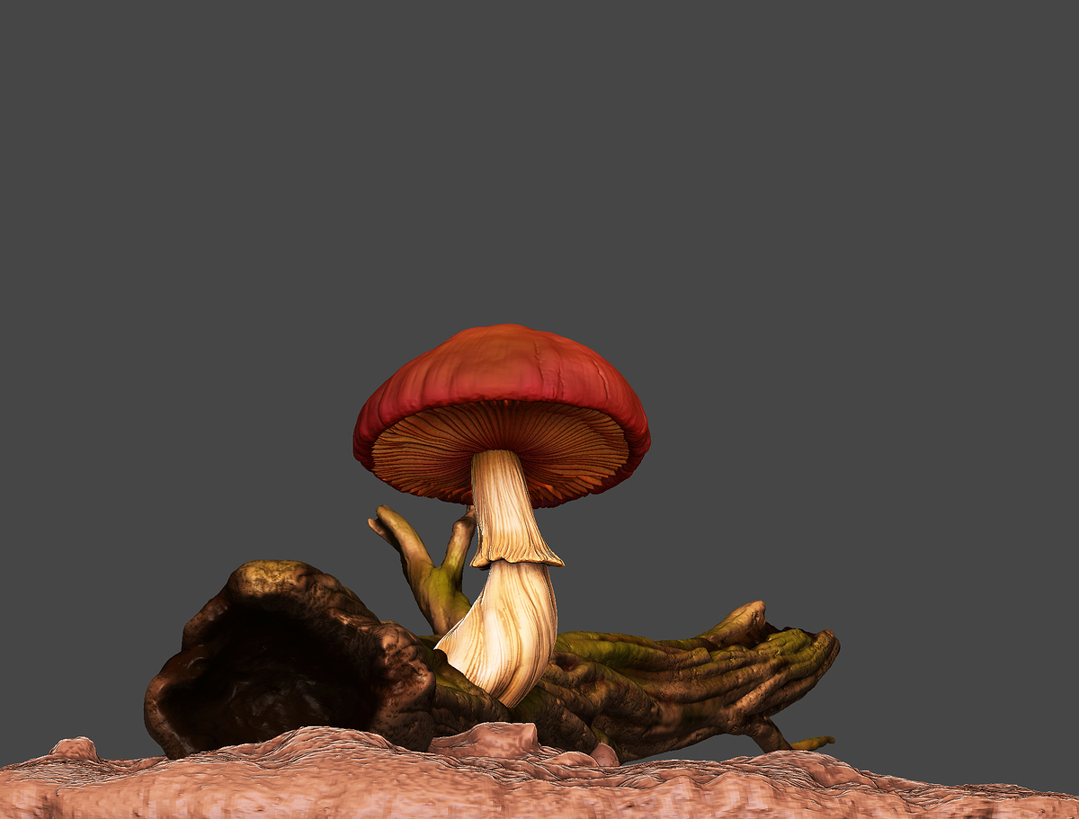 mushroom_1009