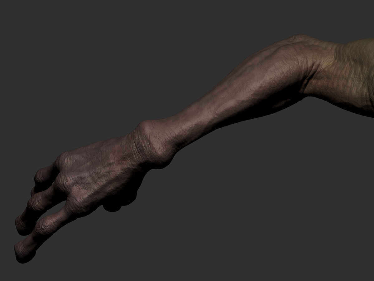 ZBrushViewportArm