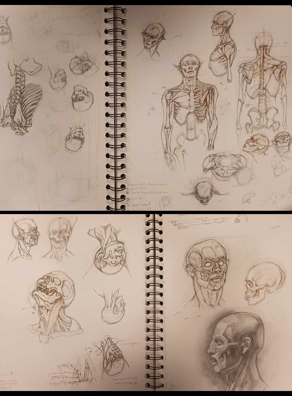 Achilles_Sketchbook_MMilano_P305
