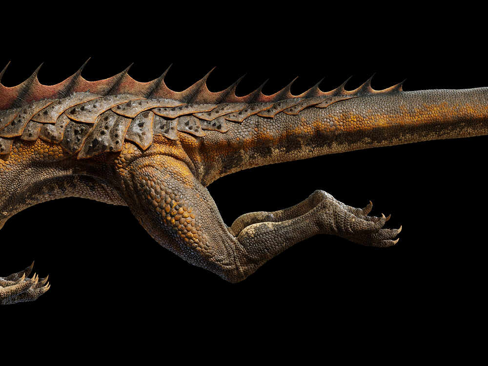 renderSide_P2