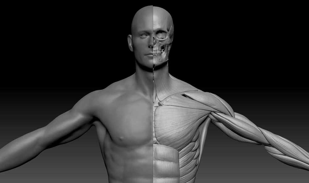 zbrushFront