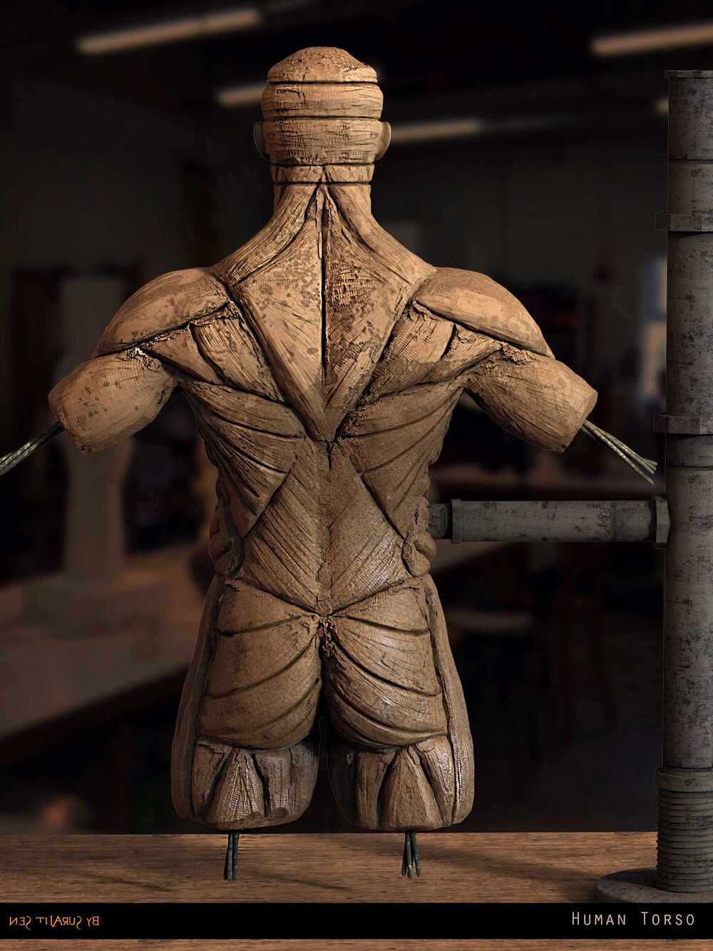 Human_Torso_Anatomy_Digital_Sculpture_SurajitSen_Feb2025 (1)