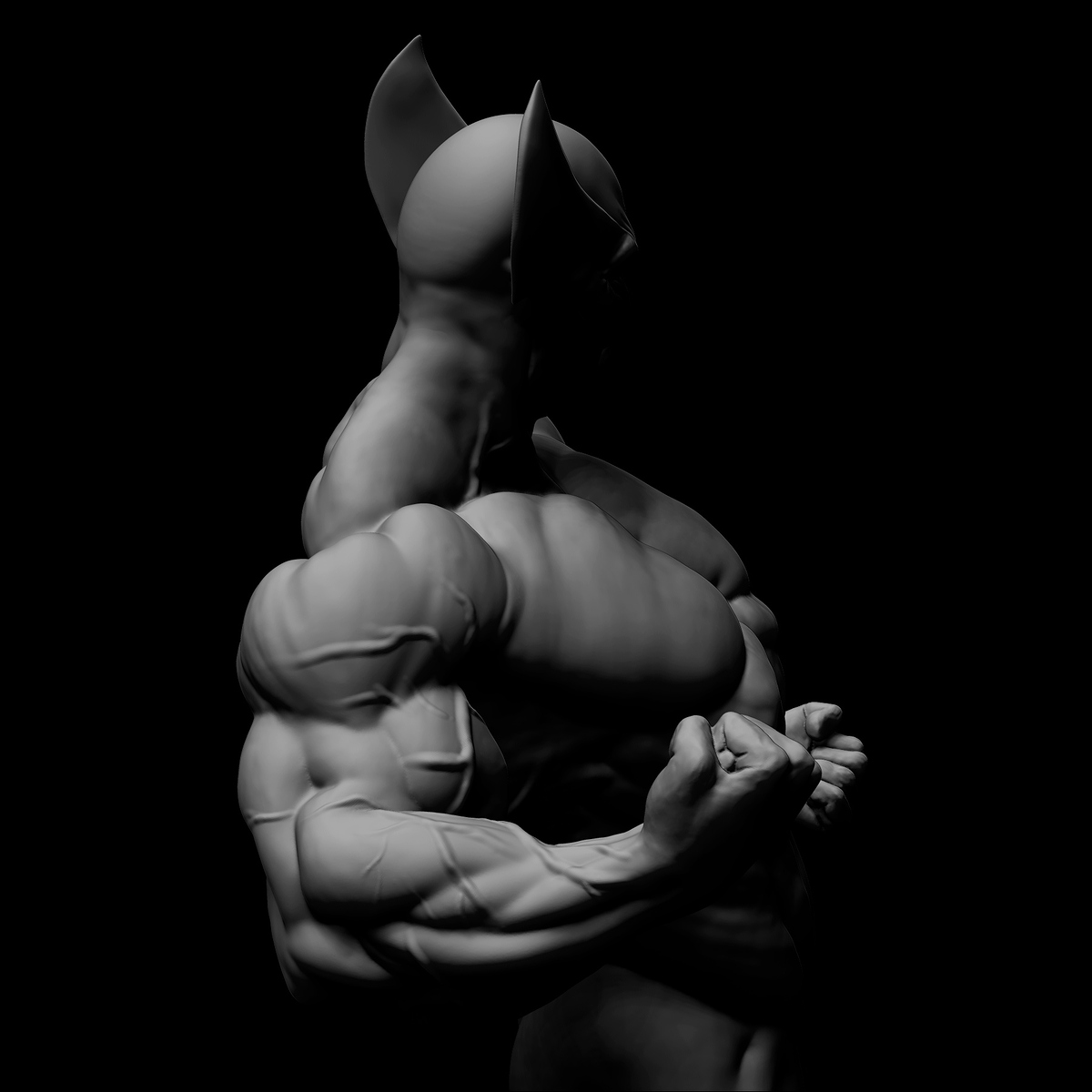Anatomía 2