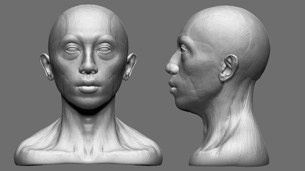 head.1001