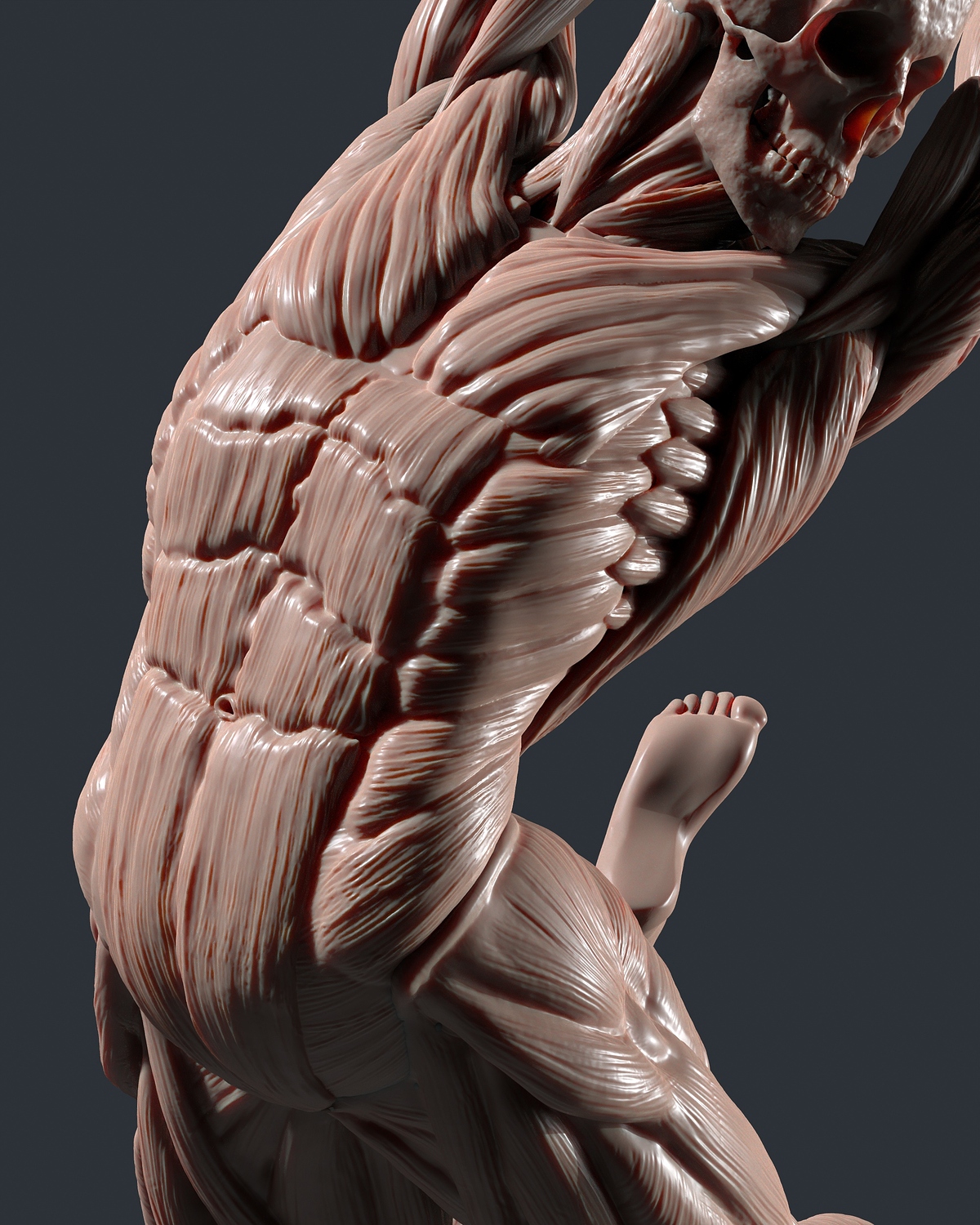 tbrender_Viewport_010