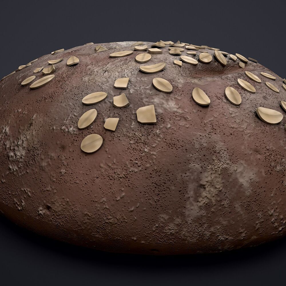 medieval-style-oat-covered-stone-baked-bread-3d-model-low-poly-obj-fbx (12)