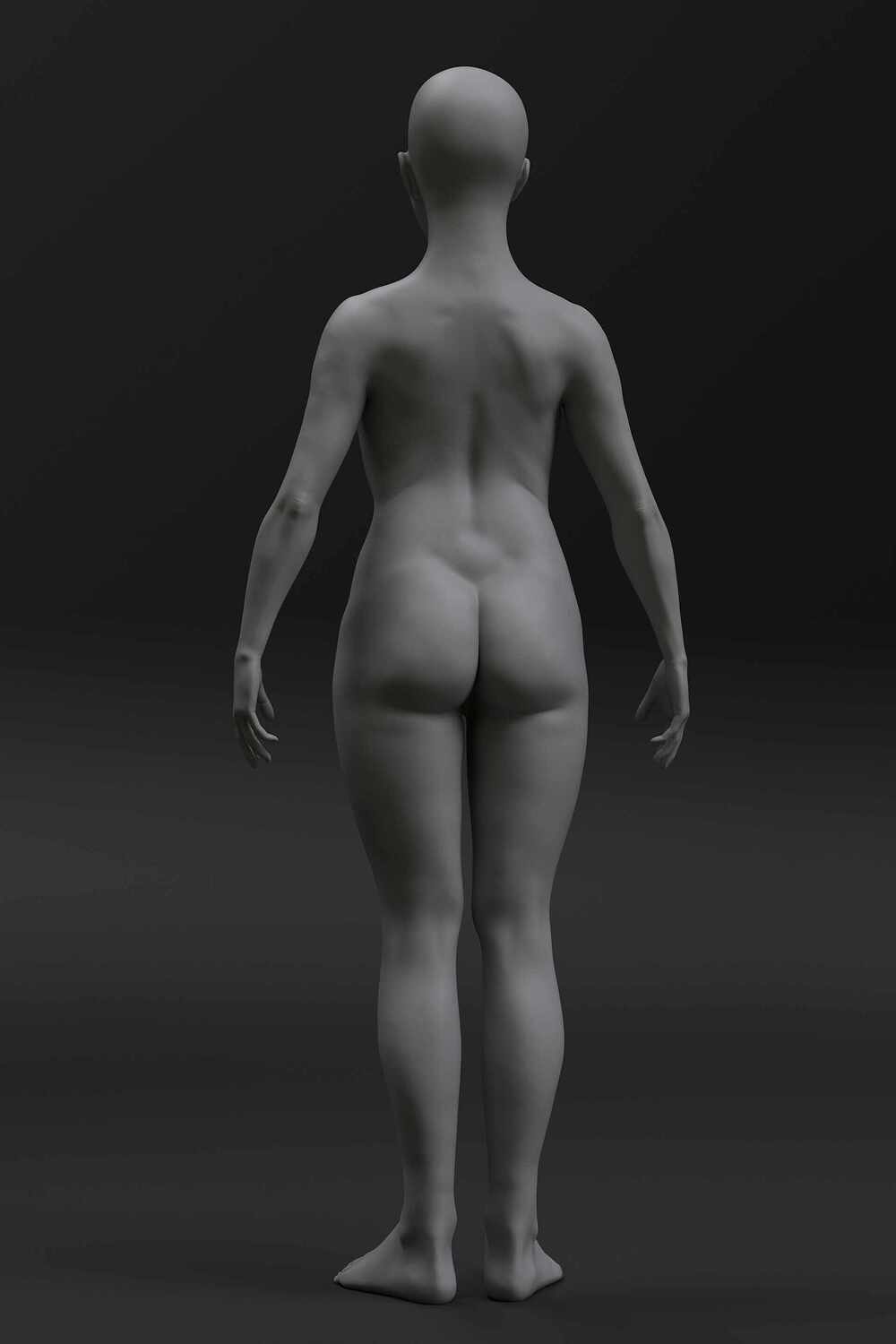 20210824_1238_Female_anatomy (2)