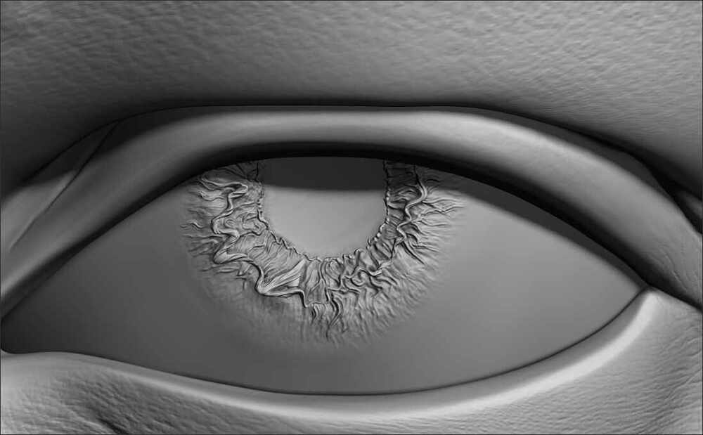 05_eye_detail