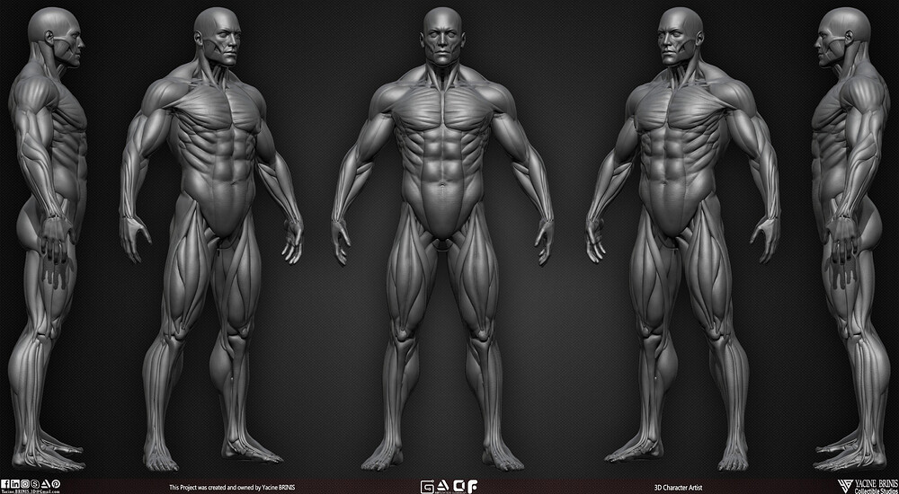 Male Human Muscles 3D Model sculpted by Yacine BRINIS 004