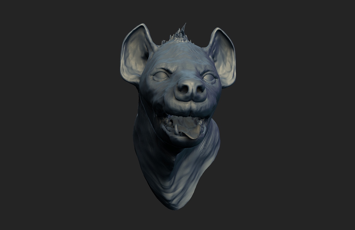 hyena_bust_B