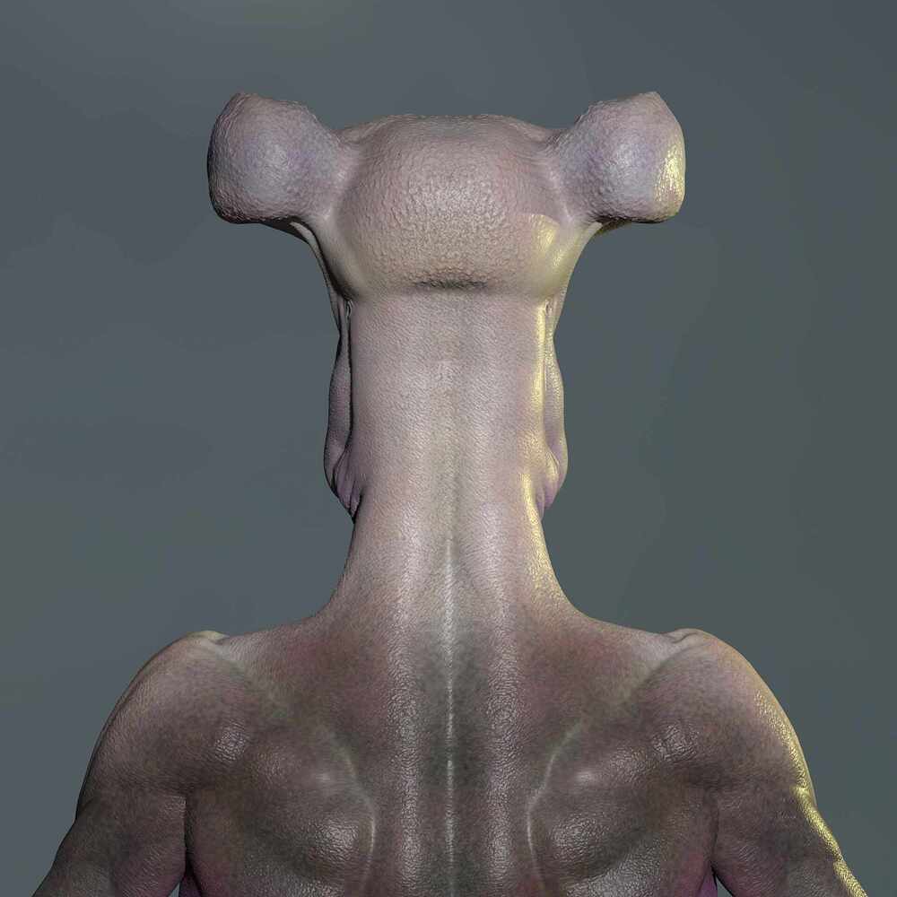 Untitled_Viewport_004