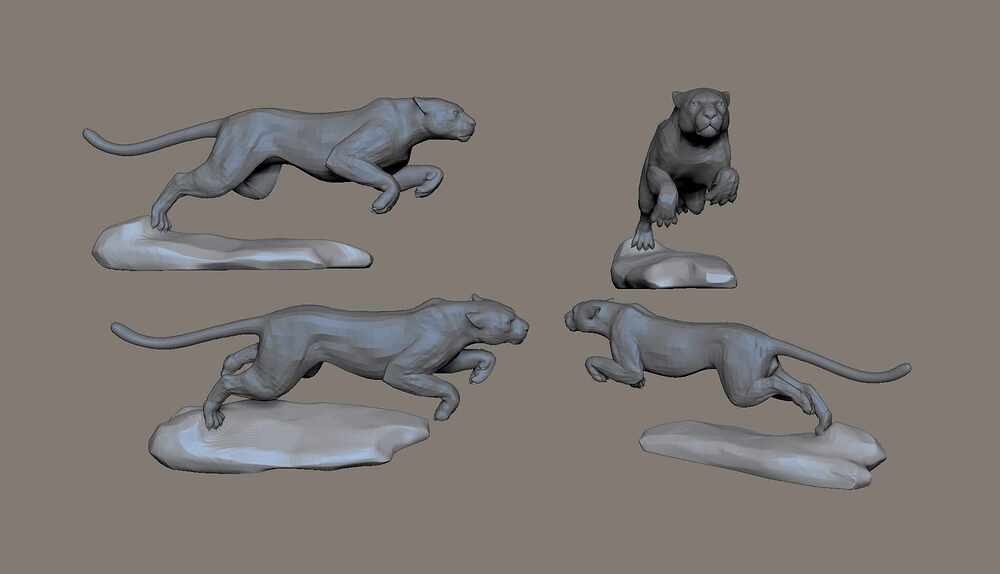 Pose_study_D