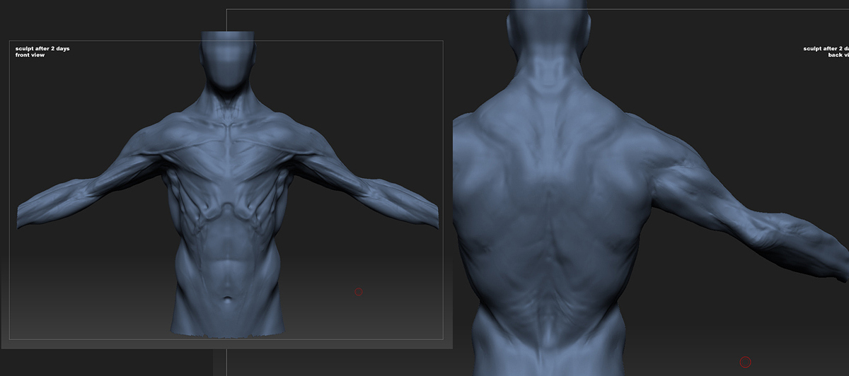 beesub_WIP_sB.jpg