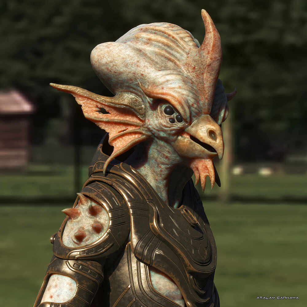 Space Chicken - HDRI 5