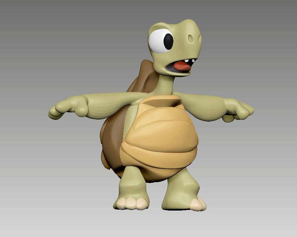 Tortoise (2)