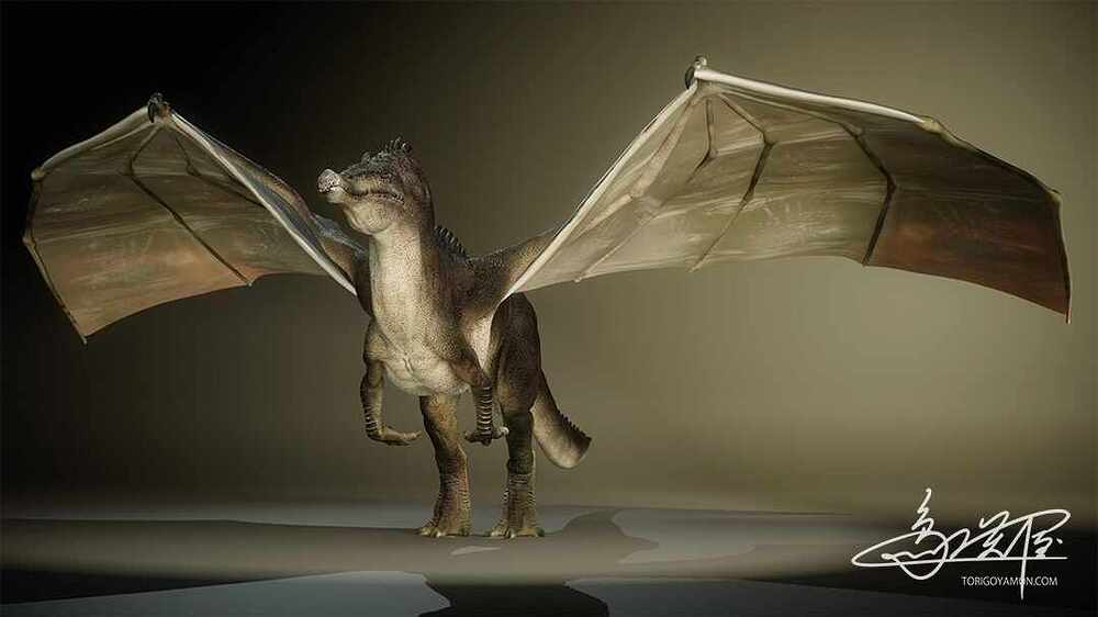 Dragon_img001