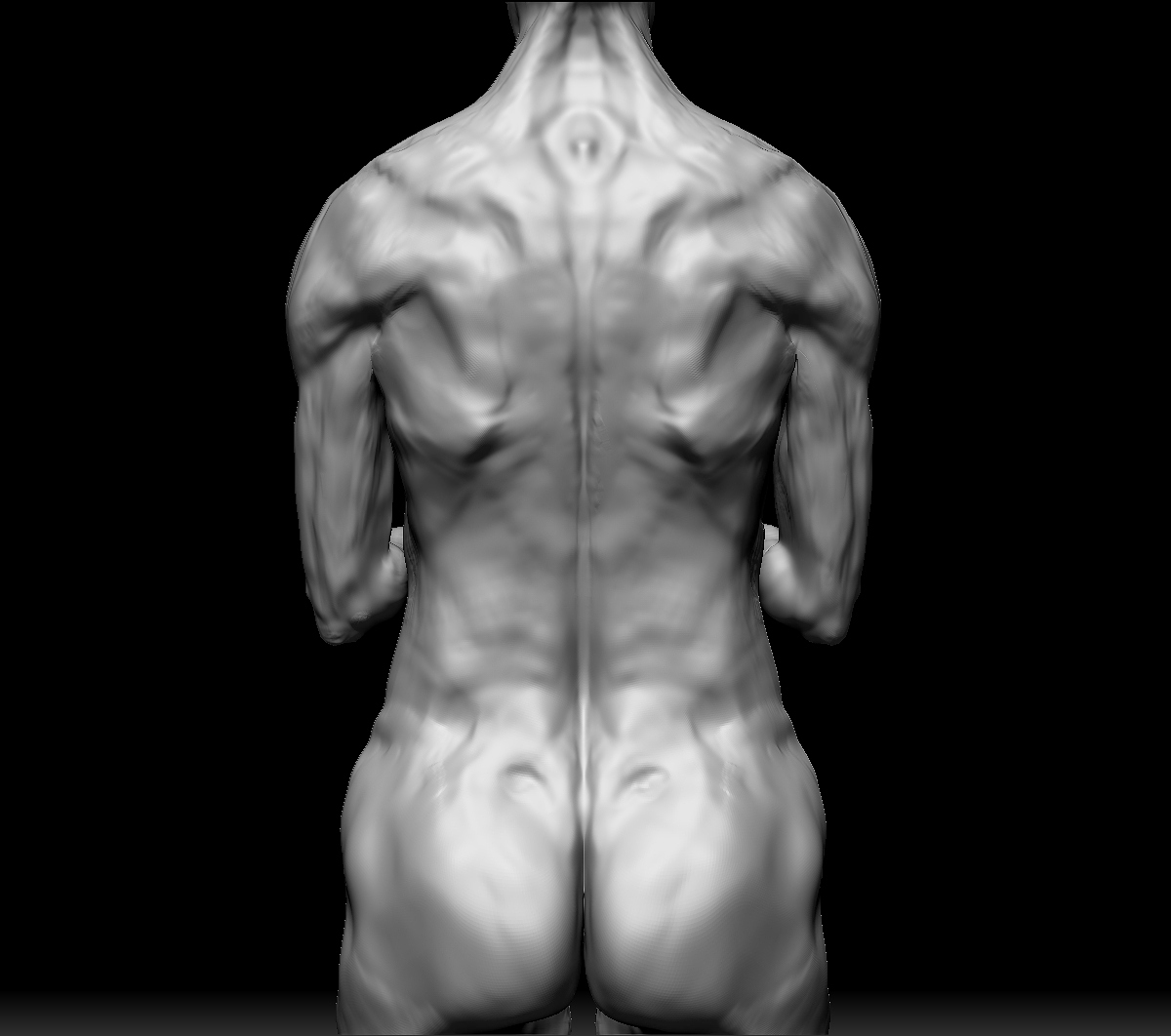 back view amended material .jpg