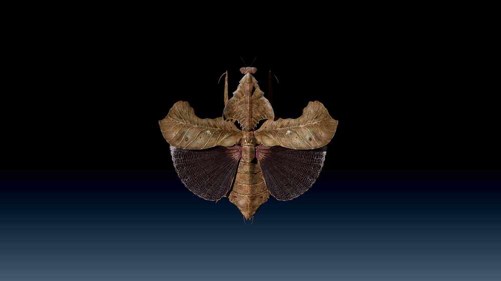 BPR_Composite_004