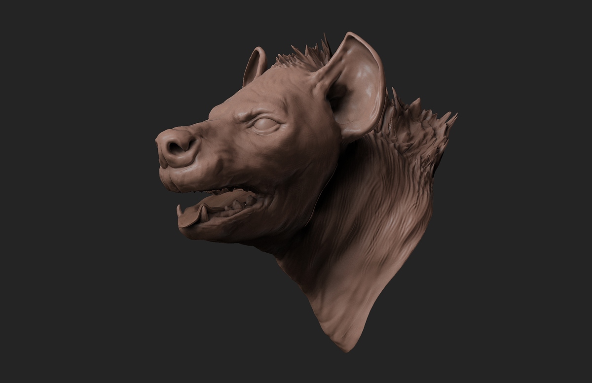 hyena_bust_E