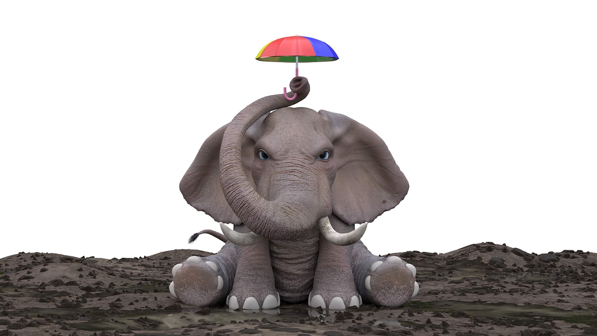 Elephant