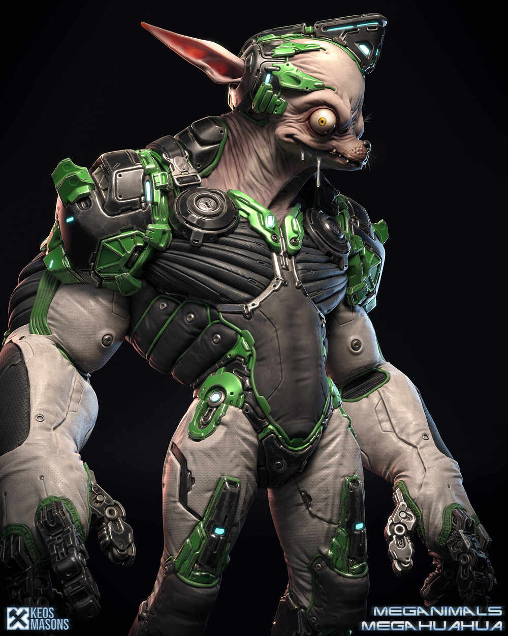 Megahuahua_07
