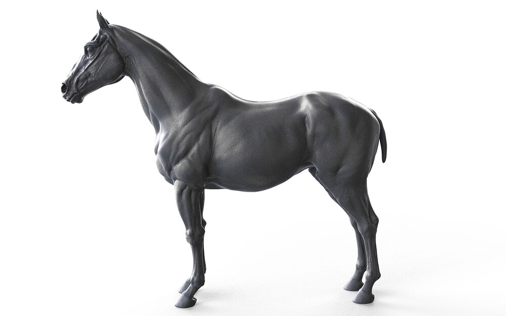 Horse_6
