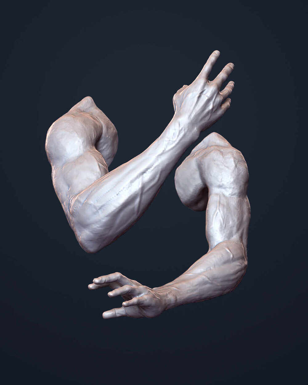 Arms_n_hands_1080x1350_final